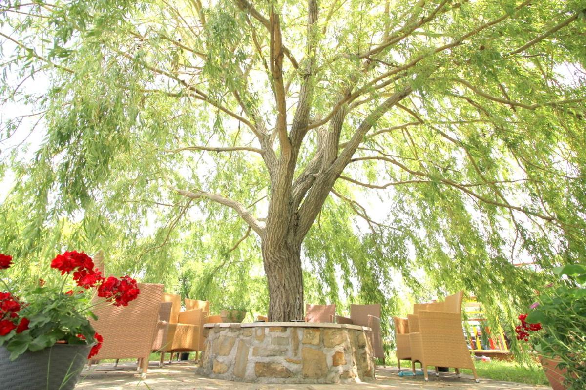 Green Place Apartments ปอร์โตรอซ ภายนอก รูปภาพ